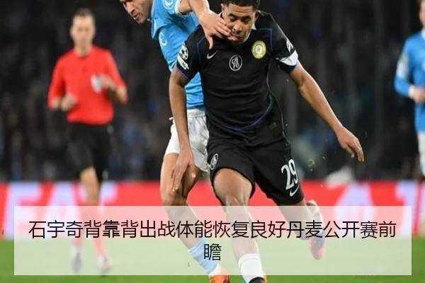 石宇奇背靠背出战体能恢复良好丹麦公开赛前瞻